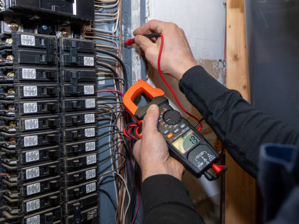 Best Electric Panel Repair  in Shields, MI